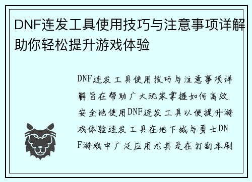 DNF连发工具使用技巧与注意事项详解助你轻松提升游戏体验
